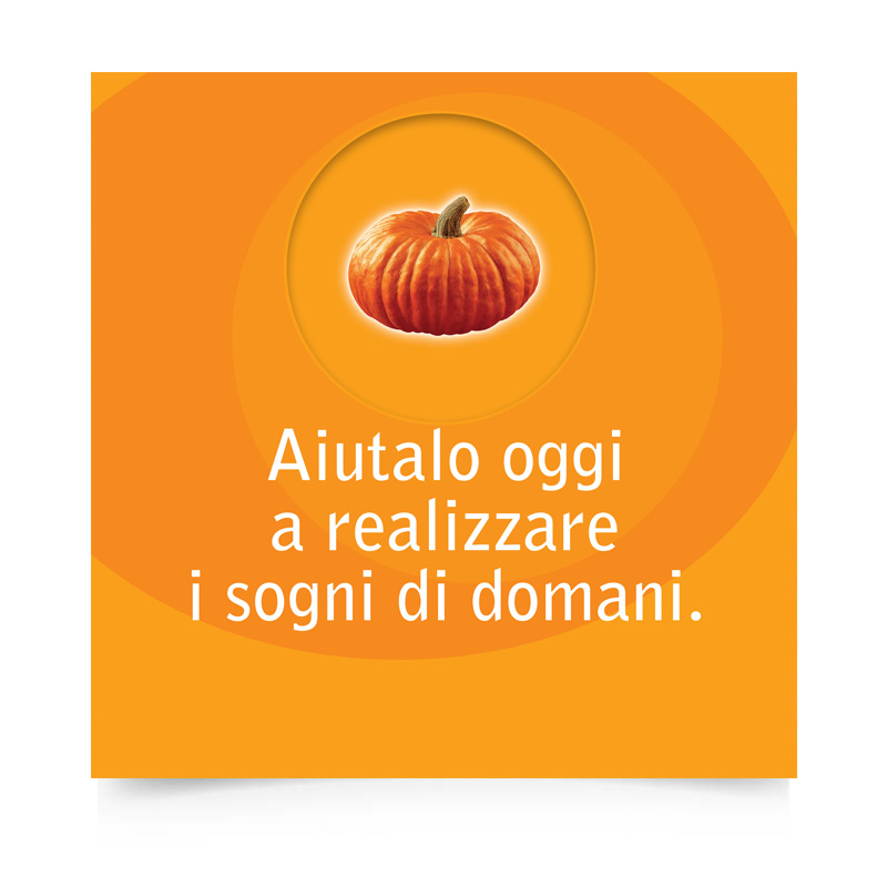 Brochure Ing Direct
