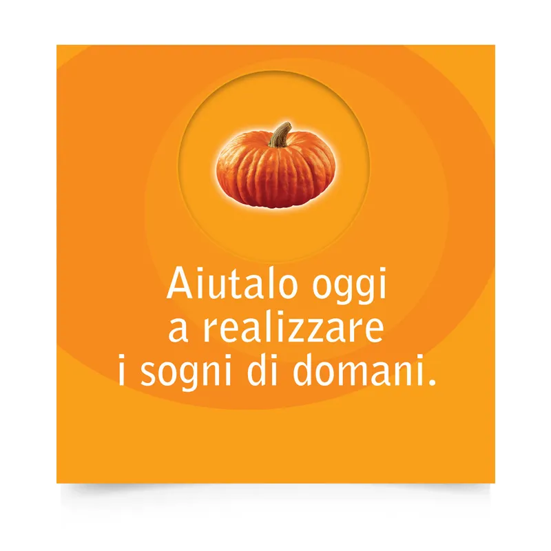 Brochure Ing Direct