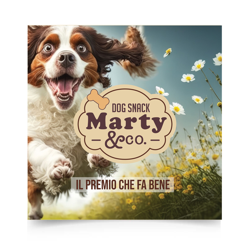 Brochure Martyeco