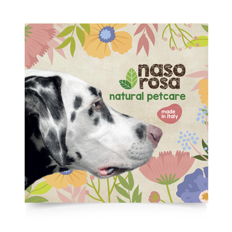 Brochure Nasorosa